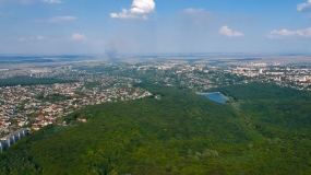 10.06.2020, Географы МГУ назвали самые зеленые города России
