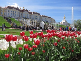 14.04.2021, Сколько стоит Санкт-Петербург на майские праздники?