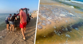 24.07.2021, Медузы сорвали сезон на популярном российском курорте