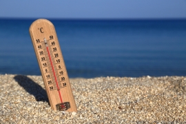 29.06.2019, Во Франции зафиксирована самая высокая т-ра