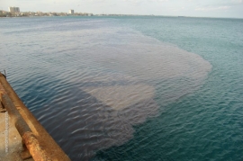 30.07.2019, Как узнать уровень загрязнения Черного моря