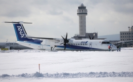 13.02.2019, В Воронеже самолет застрял в снегу