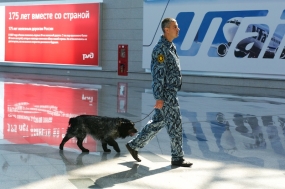 23.05.2020, Проверку пассажиров на COVID-19 могут доверить собакам