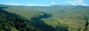 <a href=