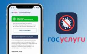 28.08.2020, Когда нужно загрузить результаты теста на «Госуслуги»