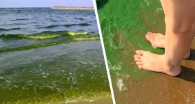 05.09.2020, На пляжах Анталии вода позеленела и пожелтела