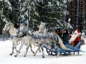 Новогодние каникулы в отеле ''Летняя сказка'' (2 дня)