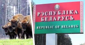 03.11.2020, Беларусь опускает железный занавес